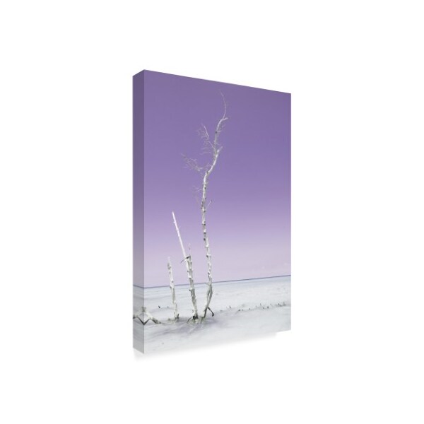 Philippe Hugonnard 'Ocean Nature Pastel Purple 1' Canvas Art,22x32